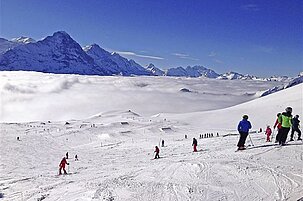 61192_8.jpg