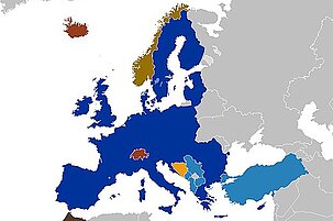 73690_8.jpg