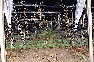 52693_8.jpg