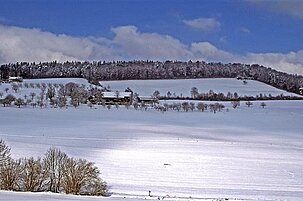 70201_8.jpg