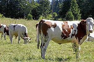 6452_8.jpg
