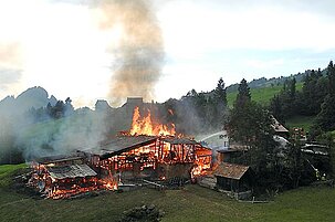 84190_8.jpg