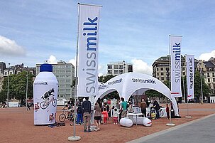 47680_8.jpg
