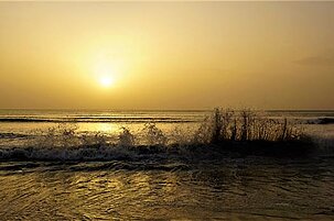 89546_8-1.jpg