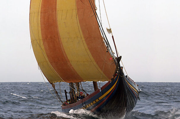 2634_8.jpg