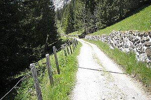 43775_8.jpg