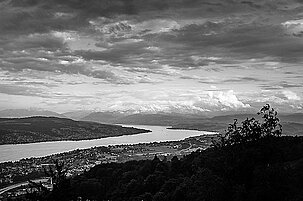 47077_8.jpg