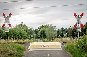73699_8.jpg