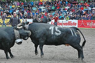 40847_8.jpg