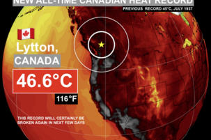 20771833-1140-6e4d-702a-8118f9001de9-42286.png