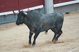48869_8.jpg