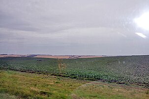 52402_8.jpg