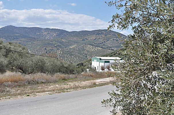 7622_8.jpg