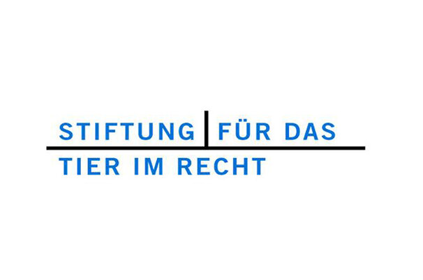 35303d16-34e5-c381-1611-6e472d1621bd-67097.jpeg