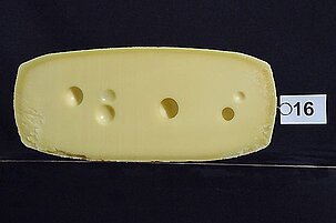 49008_8.jpg