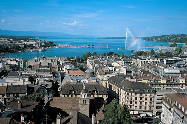 7361_8.jpg