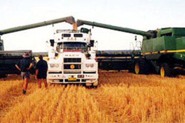 8309_8.jpg