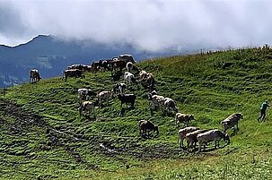 84606_8.jpg
