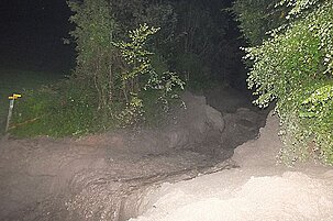 42494_8.jpg