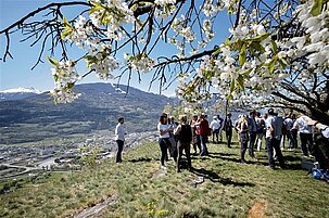 72151_8.jpg