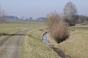 f0e4871f-cb3f-2499-be1e-de22a73df2cb-24503-scaled.jpeg