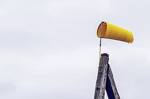 2b07c3a1-98de-ec5c-1976-99d3d06834b2-80306.jpeg