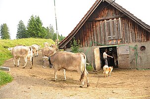 35012_8.jpg