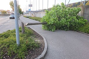 55241_8.jpg