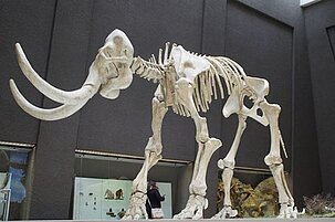 78273_8.jpg