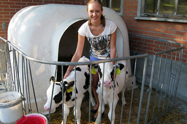 7904_8.jpg