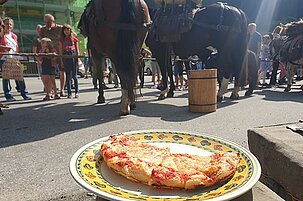 91225_8.jpg