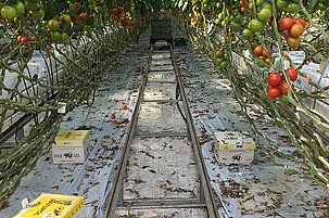 87654_8.jpg