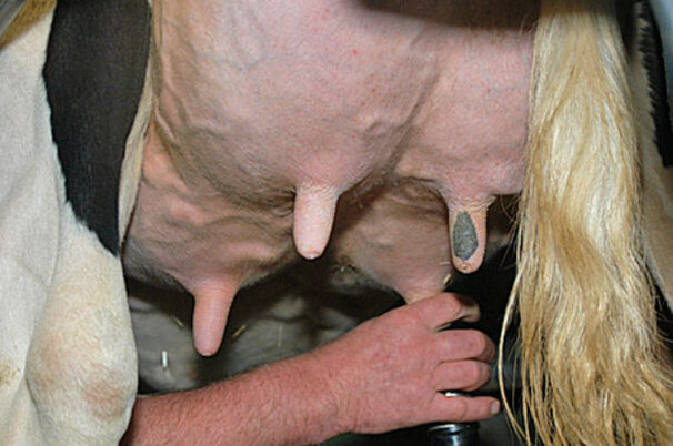 2535_8.jpg