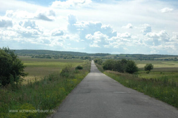 27924_8.jpg