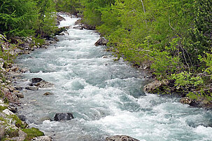 6219_8.jpg
