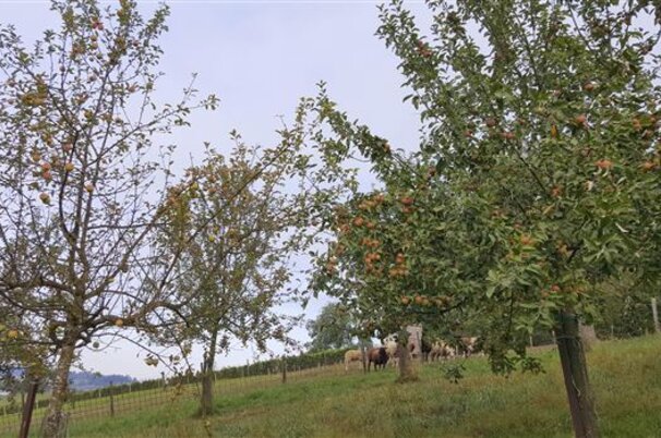 77192_8.jpg