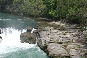 82781_8.jpg