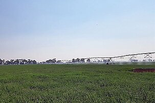 88440_8.jpg