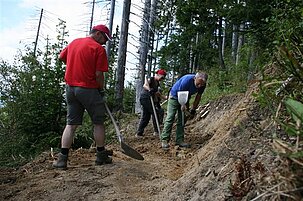 89093_8-1.jpg