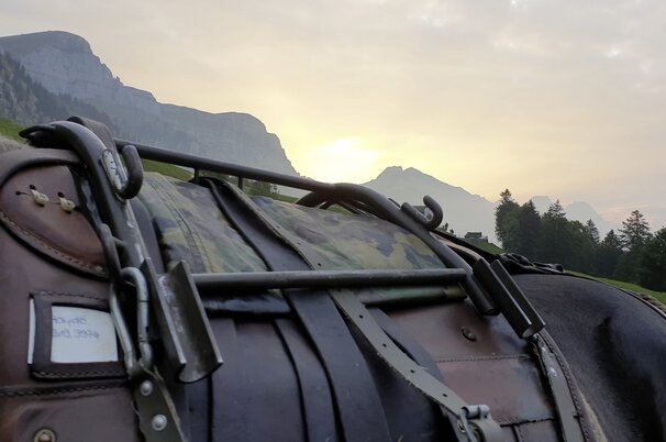 9584641a-5fbe-a1d3-af34-9770f975d230-50109-scaled.jpeg
