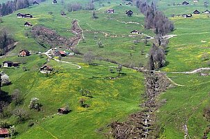 33820_8.jpg