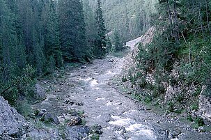 33061_8.jpg