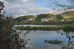 48704_8.jpg