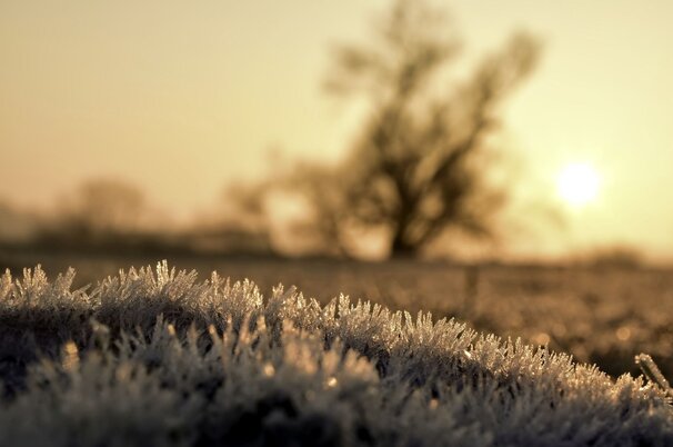9c4d8a9a-30ca-b0a2-50a4-9ad7a87ad616-131320.jpeg