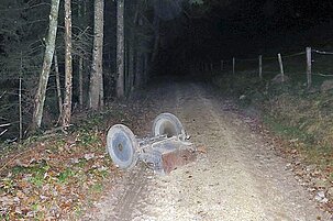 77885_8.jpg