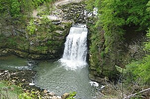 92987_8.jpg