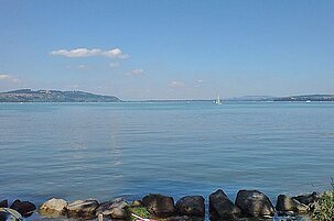 40856_8.jpg