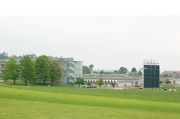 46768_8.jpg