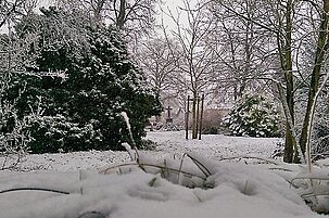68738_8.jpg