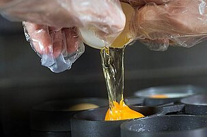 50841_8.jpg